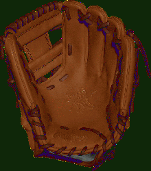 rt of the Hide baseball gloves are re