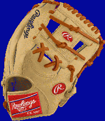       The Rawlings NP5 infield pa