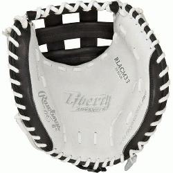 dified Pro H™ web is similar to the Pro