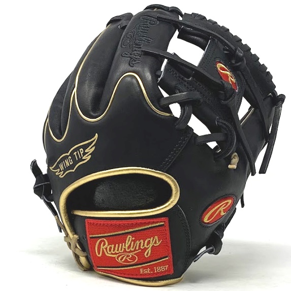 rawlings-heart-of-the-hide-pro-204w-2-baseball-glove-11-5-black-gold-right-hand-throw PRO204W-2-BKGD-RightHandThrow Rawlings  <p>Take the field with this limited make Heart of the Hide